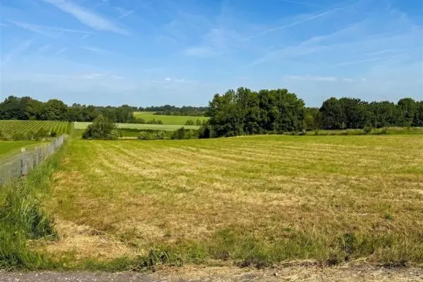Terrain à bâtir