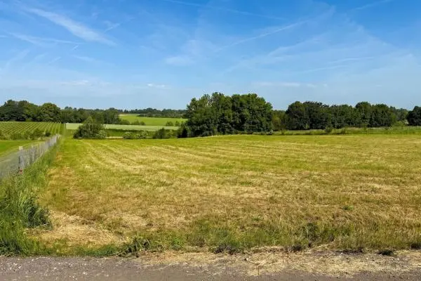 Terrain à bâtir