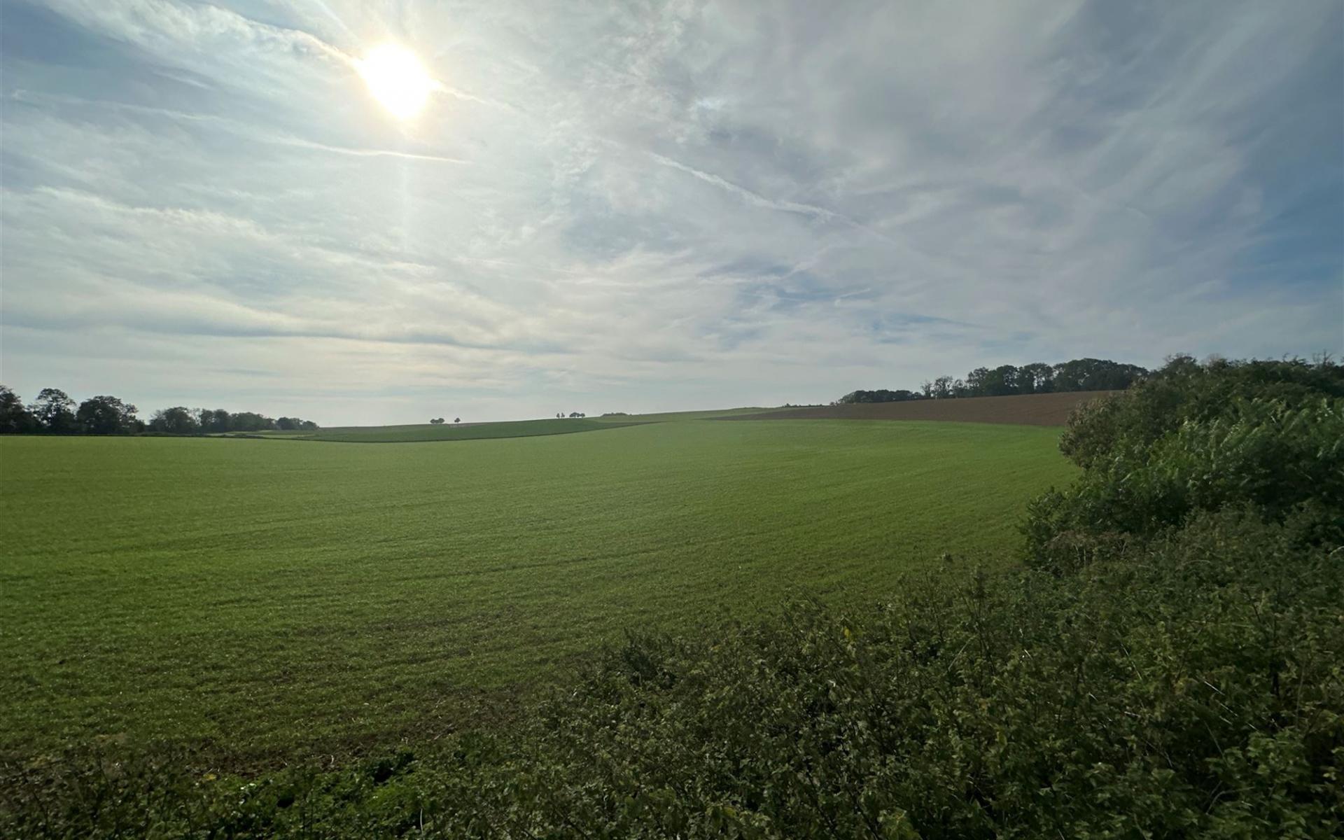 Terrain 1325 Chaumont-Gistoux