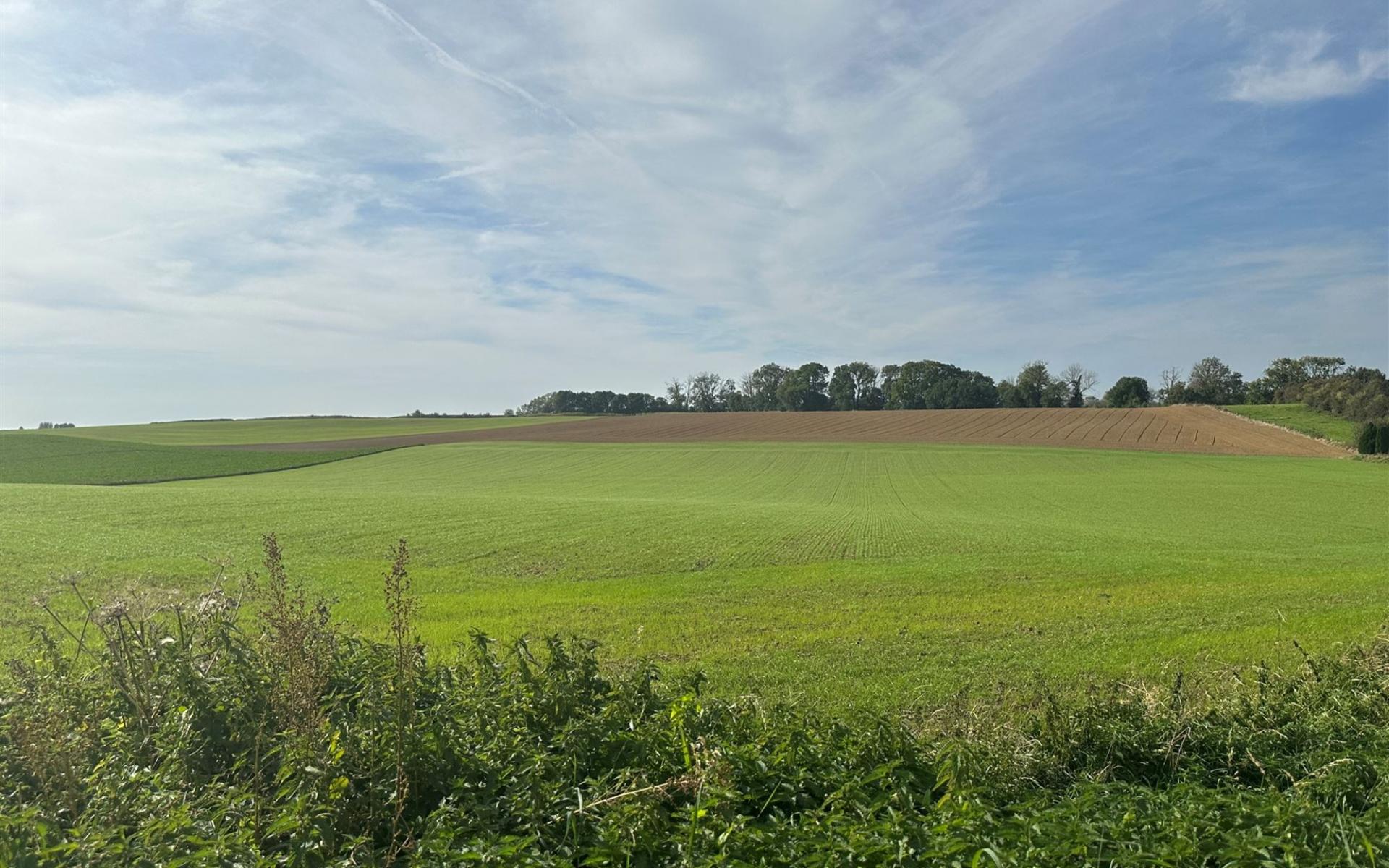 Terrain 1325 Chaumont-Gistoux