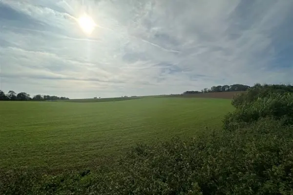 Terrain