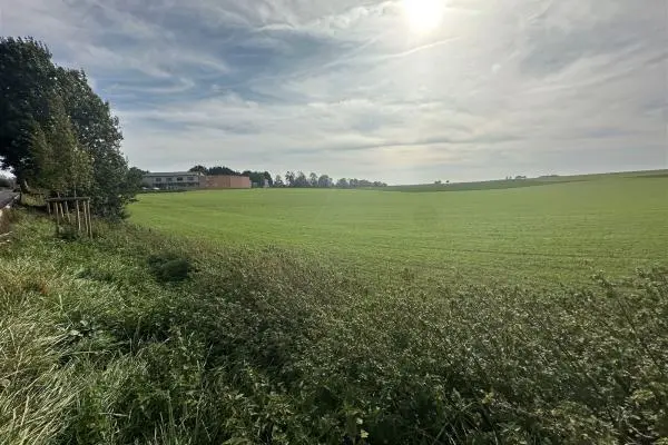 Terrain
