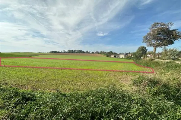 Terrain