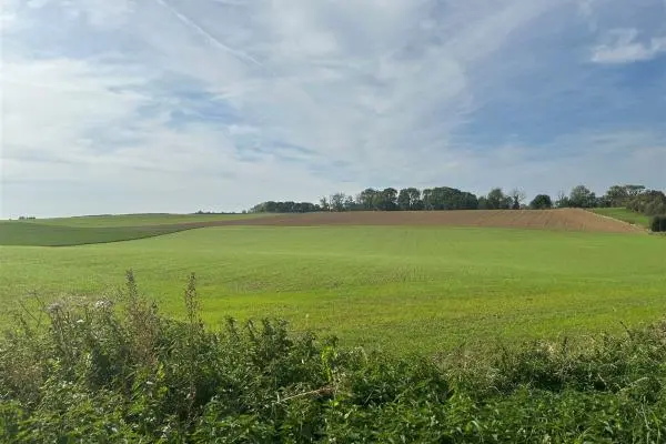 Terrain